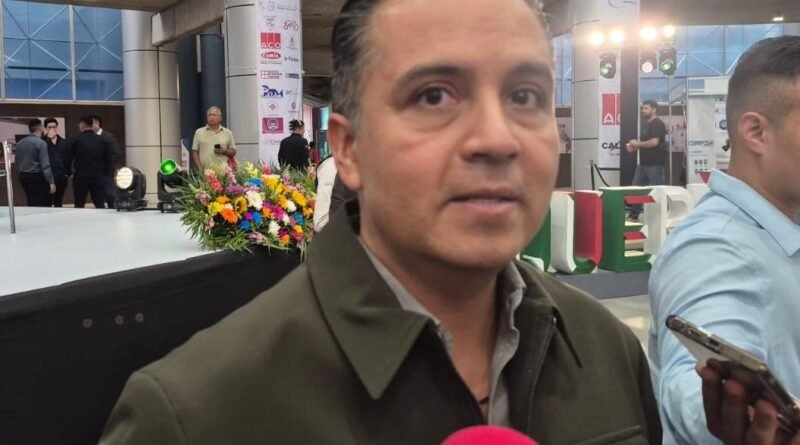 Gobierno federal no informó sobre retiro de árbol en la zona del Tepetate - RR Noticias
