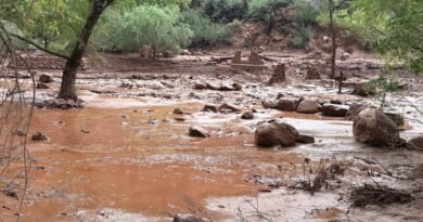 Golpea riada al Gran Cañón; buscan a más de 20 desaparecidos - RR Noticias