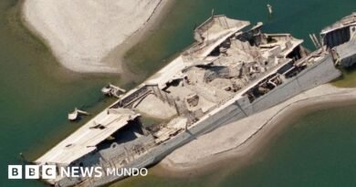 Huesos de mamut, buques nazis y bombas sin explotar: los vestigios del pasado que sacó a la luz la histórica sequía en Europa - BBC News Mundo