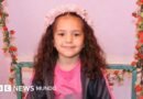 Israel confirma que disparó contra el vehículo en el que viajaba la niña de 5 años Hind Rajab en Gaza - BBC News Mundo