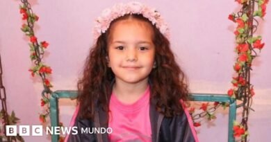 Israel confirma que disparó contra el vehículo en el que viajaba la niña de 5 años Hind Rajab en Gaza - BBC News Mundo