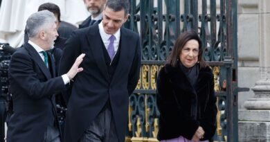 La guerra sin fin entre Marlaska y Robles