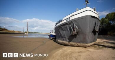 La histórica sequía que afecta al Rin y al Danubio, los principales ríos de Europa (y que amenaza con provocar un shock económico y energético) - BBC News Mundo