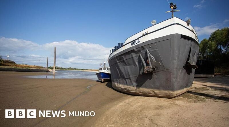La histórica sequía que afecta al Rin y al Danubio, los principales ríos de Europa (y que amenaza con provocar un shock económico y energético) - BBC News Mundo