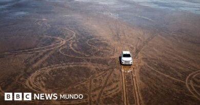 La indignación por el enorme daño ambiental que causó un hombre con su camioneta en un ecosistema único del norte de Argentina - BBC News Mundo