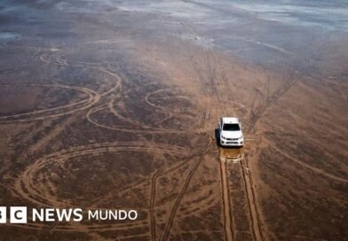 La indignación por el enorme daño ambiental que causó un hombre con su camioneta en un ecosistema único del norte de Argentina - BBC News Mundo