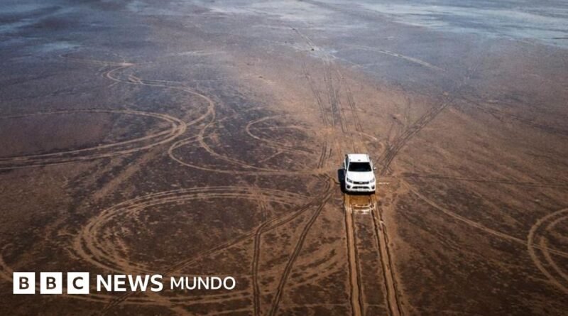 La indignación por el enorme daño ambiental que causó un hombre con su camioneta en un ecosistema único del norte de Argentina - BBC News Mundo
