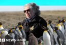 La maestra de preescolar que lo dejó todo y se convirtió en guardiana de 200 pingüinos rey en el sur de Chile - BBC News Mundo