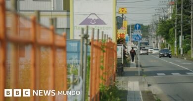 La polémica construcción de una mezquita en Japón que revela el dilema del país ante la inmigración - BBC News Mundo