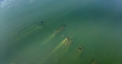 La sequía deja al descubierto un puente romano oculto bajo el Danubio
