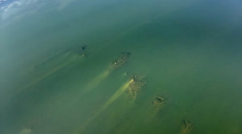 La sequía deja al descubierto un puente romano oculto bajo el Danubio