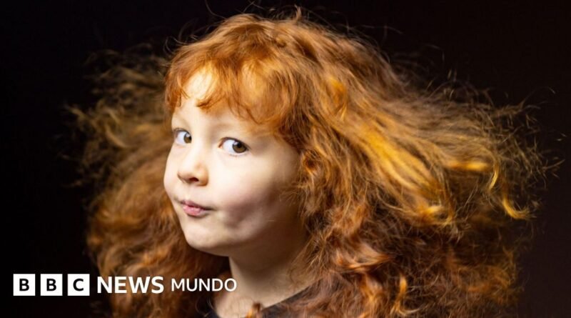 La serie fotográfica de pelirrojos que muestra un vínculo inesperado entre los estadounidenses - BBC News Mundo