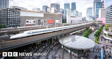 Las 4 reglas de oro de Japón para hacer más habitables sus ciudades - BBC News Mundo