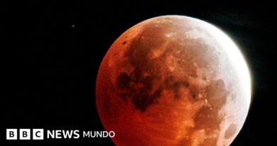Las imágenes más destacadas del eclipse parcial de Luna que se vio alrededor del mundo - BBC News Mundo