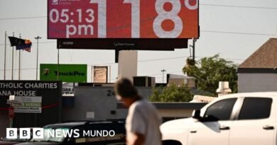 Lo que esta ciudad desértica puede enseñar al mundo sobre cómo combatir las muertes por calor - BBC News Mundo