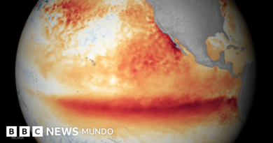 Los océanos del planeta alcanzan la temperatura media más alta jamás registrada mientras El Niño se intensifica Los océanos del planeta alcanzan la temperatura media más alta jamás registrada mientras El Niño se intensifica - BBC News Mundo