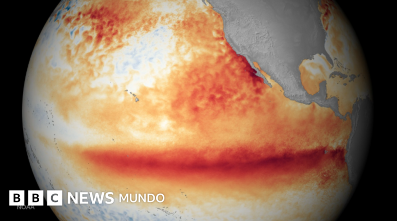 Los océanos del planeta alcanzan la temperatura media más alta jamás registrada mientras El Niño se intensifica - BBC News Mundo