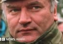 Muere Ratko Mladic, el 