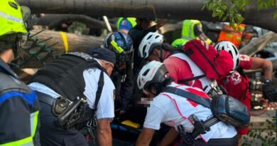 Municipio de Querétaro apoyará a personas accidentadas en la Alameda - RR Noticias