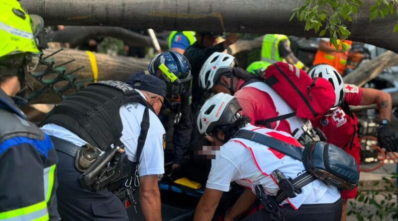 Municipio de Querétaro apoyará a personas accidentadas en la Alameda - RR Noticias
