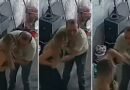Ola de indignación en Perú por una agresión sexual contra una cantante de cumbia