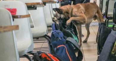 Plantean fortalecer coordinación para prevenir ingreso de armas y drogas a escuelas - RR Noticias