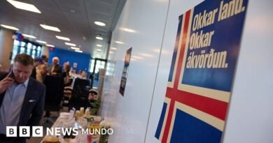 Por qué Islandia está tan dividida ante la posibilidad de adherirse a la Unión Europea - BBC News Mundo