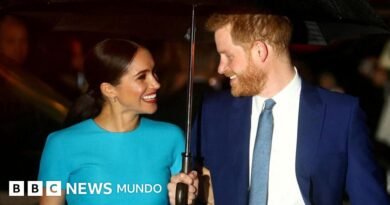 Por qué ahora y otras 4 preguntas sobre el regreso de Harry y Meghan a Reino Unido - BBC News Mundo