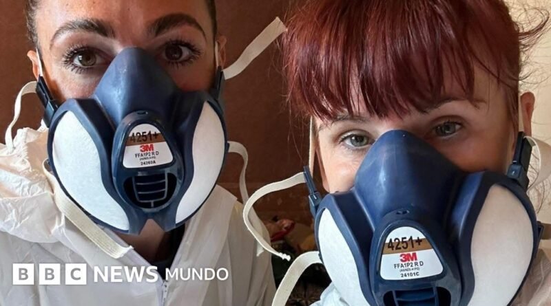 Por qué nos sentimos tan atraídos por los videos sobre limpiezas de casas de acumuladores compulsivos - BBC News Mundo