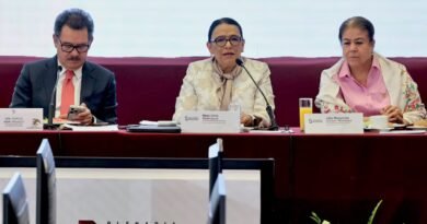 Rosa Icela Rodríguez aprieta las filas en la plenaria de Morena: “Ninguna candidatura está por encima de la estabilidad de México” 