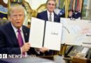Trump le cambia el nombre al lago Ontario en medio de la guerra comercial entre EE.UU. y Canadá - BBC News Mundo