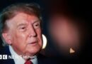 Trump ordena reducir los ejercicios militares de EE.UU. y Corea del Sur citando su muy buena relación con Kim Jong un - BBC News Mundo