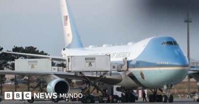 Trump se escondió en un contenedor de comida para cambiar de avión en secreto tras la cumbre de la OTAN en Turquía, según medios en EE.UU. - BBC News Mundo