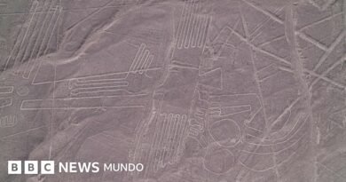 Una avioneta turística se estrella cerca de las líneas de Nazca, en Perú, y deja 13 personas muertas - BBC News Mundo