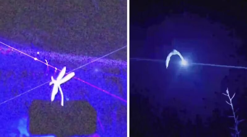 Una empresa china inventa un dispositivo láser que acaba con los mosquitos en pleno vuelo