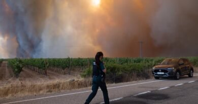 ¿Qué Estado queremos cuando todo arde?