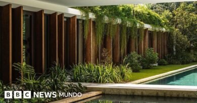 10 casas diseñadas para mezclarse con la naturaleza que las rodea - BBC News Mundo
