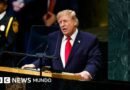 3 afirmaciones que Trump realizó ante la Asamblea General de la ONU, verificadas por la BBC  - BBC News Mundo