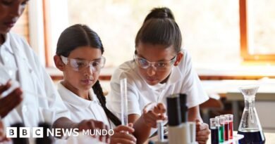 5 datos cruciales sobre el estado de la educación en América Latina que revela la última prueba PISA - BBC News Mundo