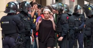 Ada Colau se asoma de nuevo a la política