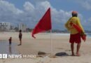 Alerta en la costa del Pacífico de México ante la llegada del huracán Polo a la península de Baja California - BBC News Mundo