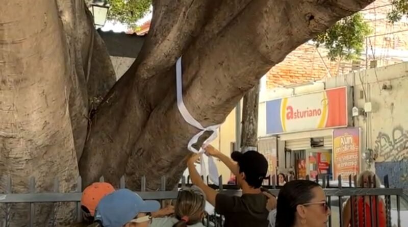 Ambientalistas contabilizan árboles en la antigua estación del tren para evitar su tala por obras del México-Querétaro - RR Noticias