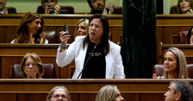 Armengol obliga a la diputada popular Ana Vázquez a abandonar el Congreso tras sacar un bote de gas pimienta