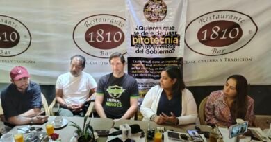 Asociaciones piden al Municipio de Querétaro evitar pirotecnia en Fiestas Patrias 2026 - RR Noticias