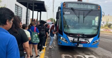 Autobuses con aire acondicionado para la ruta C52 entrarán en circulación a mediados de septiembre - RR Noticias