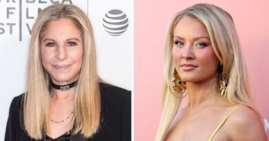 Barbra Streisand carga contra el “ego desmedido” de Trump y Zara Larsson califica de “perdedores” a quienes han puesto su canción en un vídeo del ICE