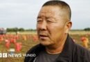 Cómo China está transformando una zona rural donde se cultivan papas en el centro de su competencia tecnológica con EE.UU. - BBC News Mundo