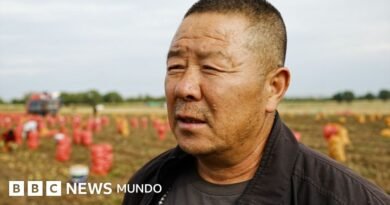 Cómo China está transformando una zona rural donde se cultivan papas en el centro de su competencia tecnológica con EE.UU. Cómo China está transformando una zona rural donde se cultivan papas en el centro de su competencia tecnológica con EE.UU. - BBC News Mundo