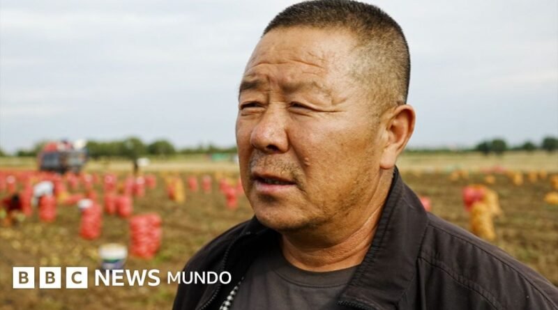 Cómo China está transformando una zona rural donde se cultivan papas en el centro de su competencia tecnológica con EE.UU. - BBC News Mundo