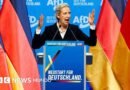 Cómo el declive de población alimenta el éxito de la extrema derecha de AfD en Sajonia-Anhalt y en el este de Alemania - BBC News Mundo